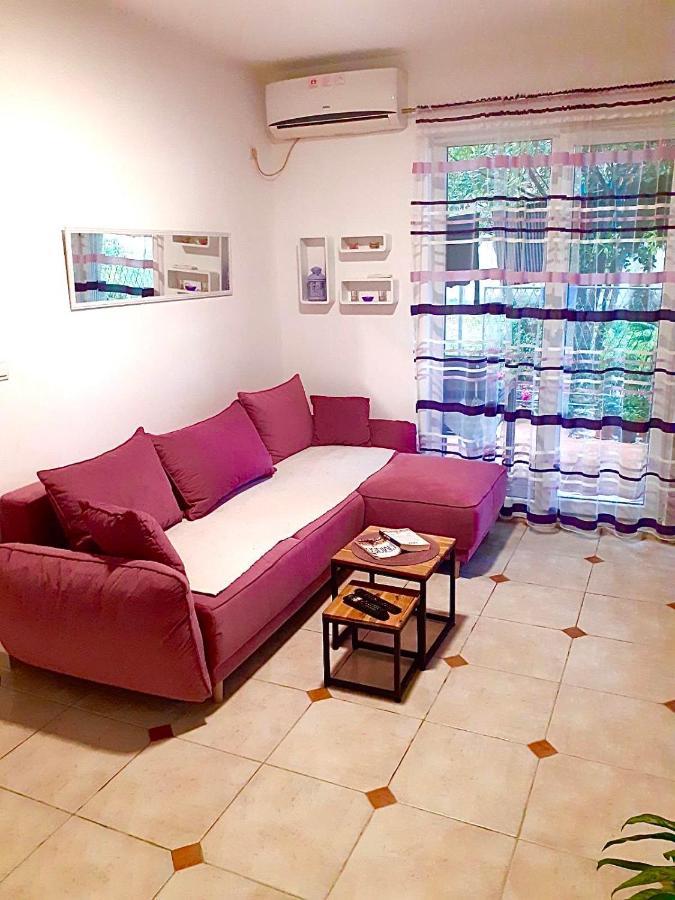 Dream Apartment แฮร์เซ็ก-โนวี ภายนอก รูปภาพ